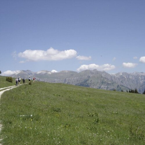 Der Cammino Delle Dolomiti (Weg Der Dolomiten)