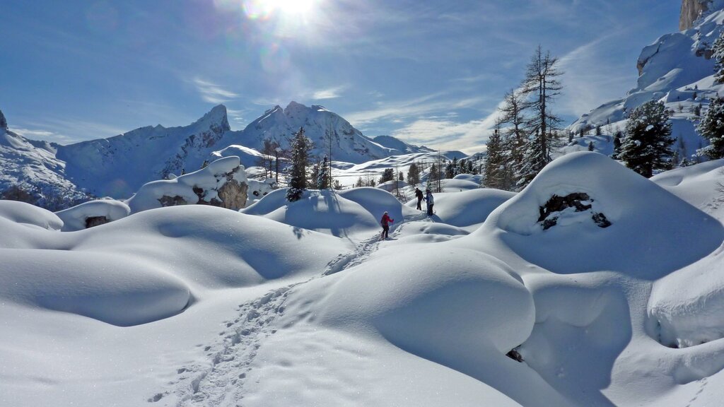 Snowshoeing Cortina Credits Guidedolomiti.com (10)