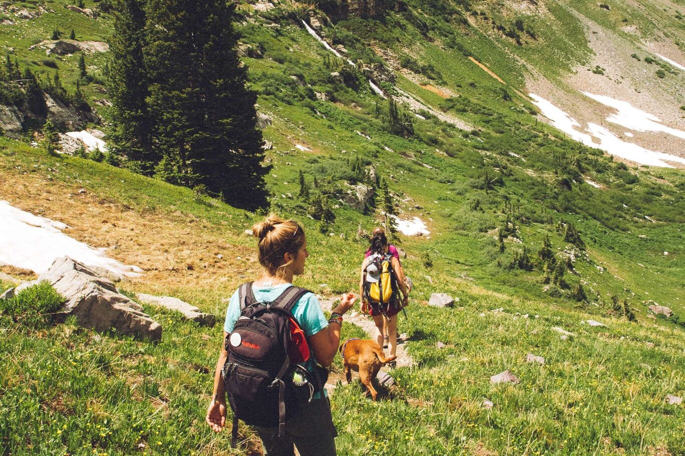 Alta Via 7 Delle Dolomiti