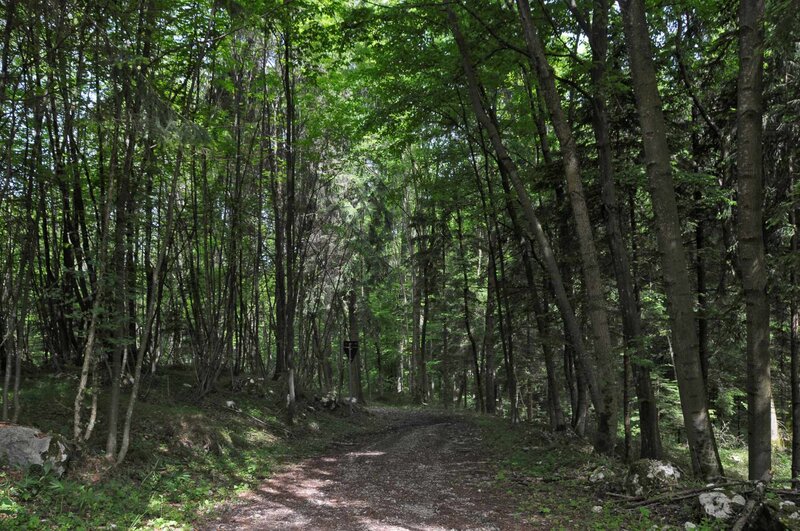 Buzzati Trail