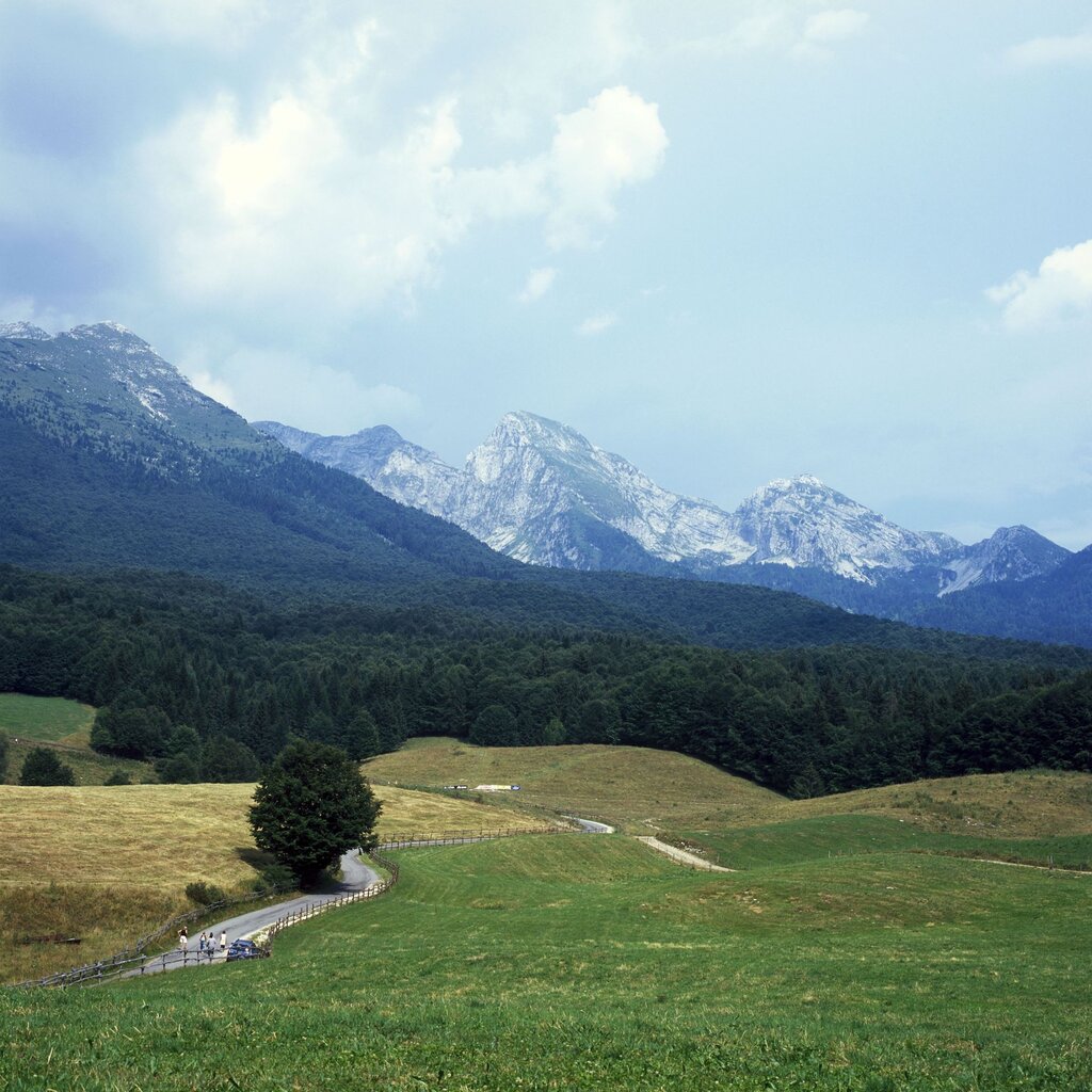 E7 Panorama Da Malga Mezzomiglio   Cansiglio