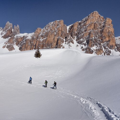 Alpine Skiing