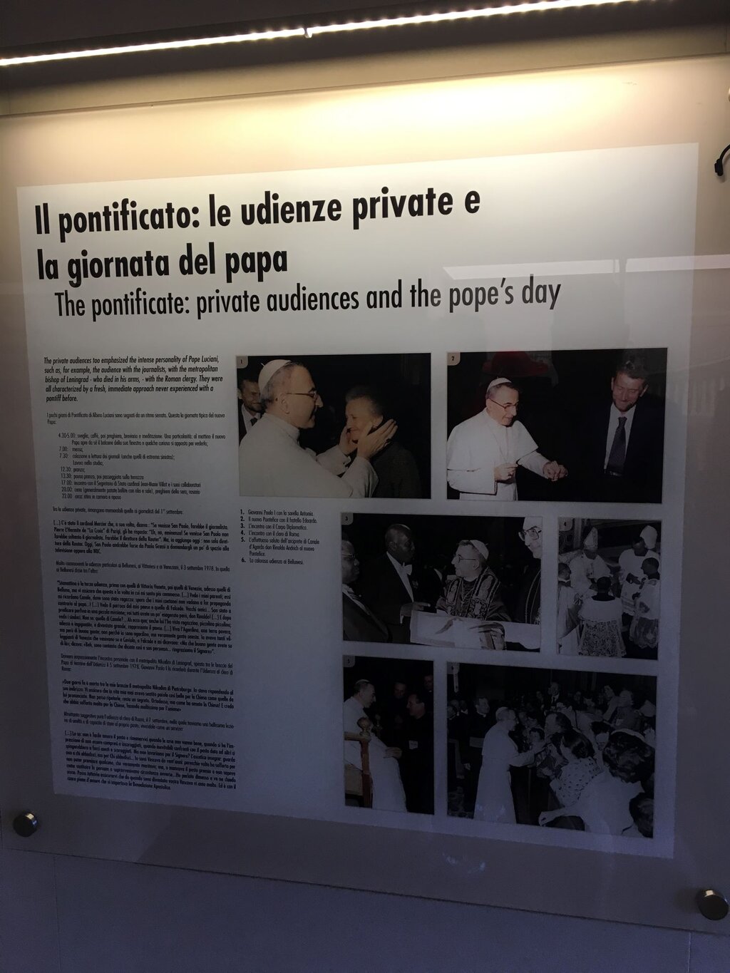 Museo Papa Luciani (3)