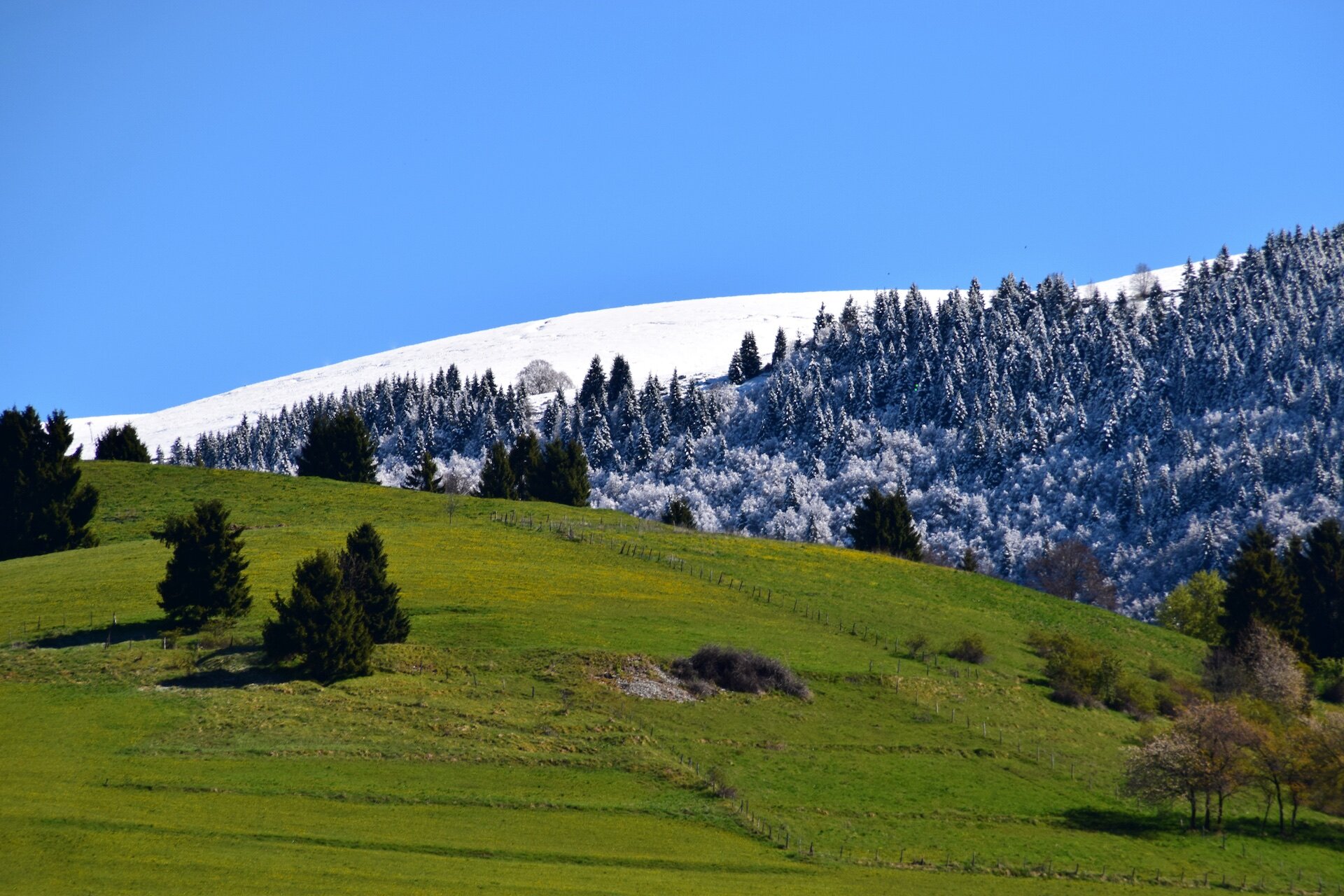Berton Emanuele Primavera   Neve   Valbelluna | © berton_emanuele