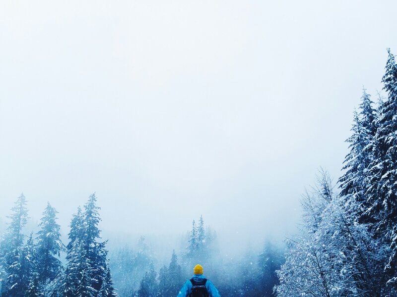 Bryce Evans UsAIelADp1A Unsplash