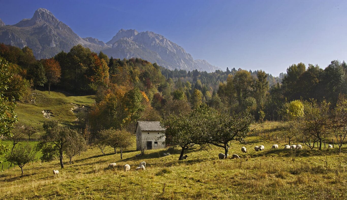 Chies D’Alpago