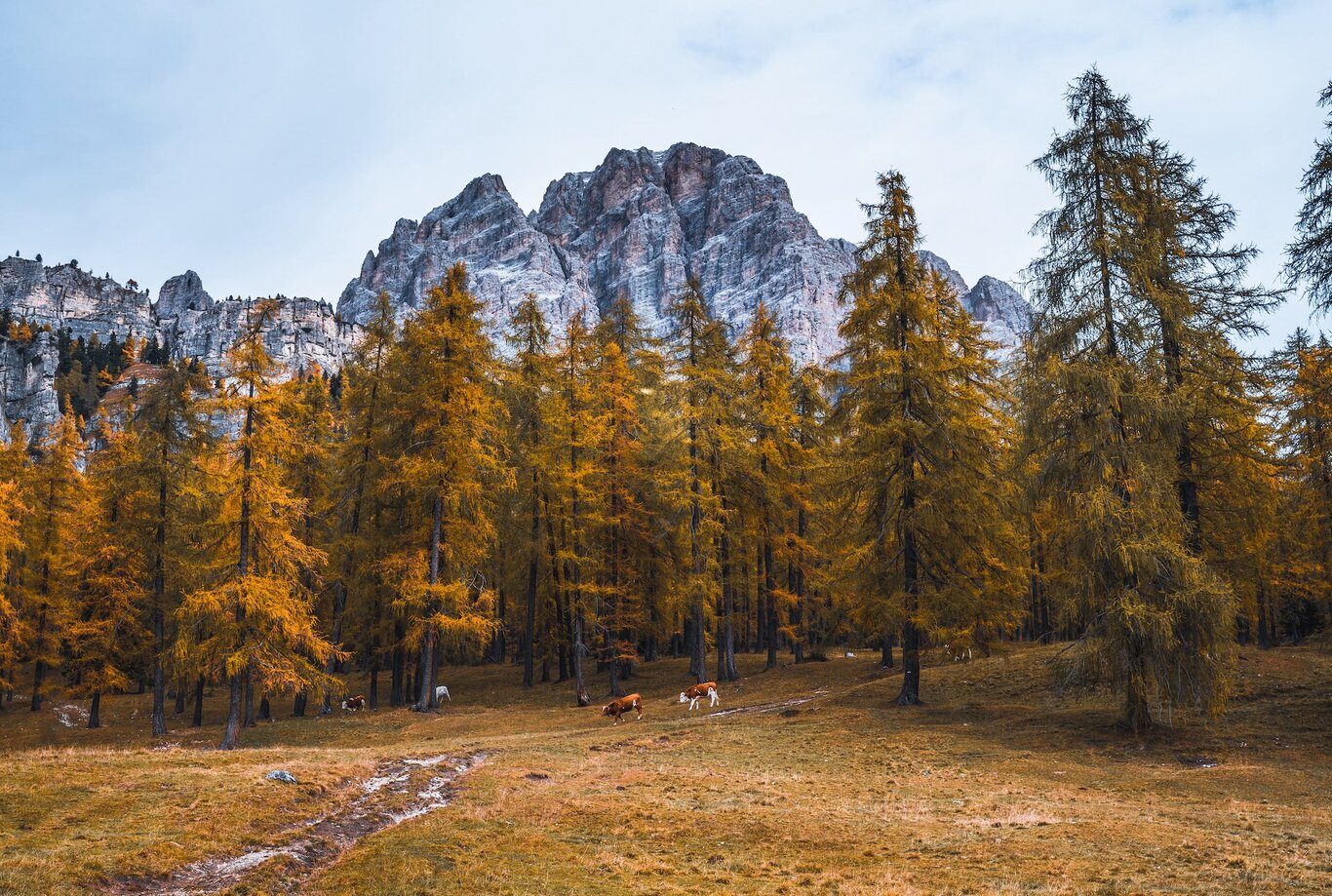 Cortina between Larieto and Mietres | © Credits_Marcel Siebert