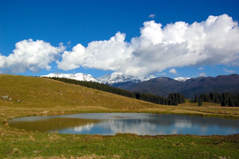 Alpago Cansiglio