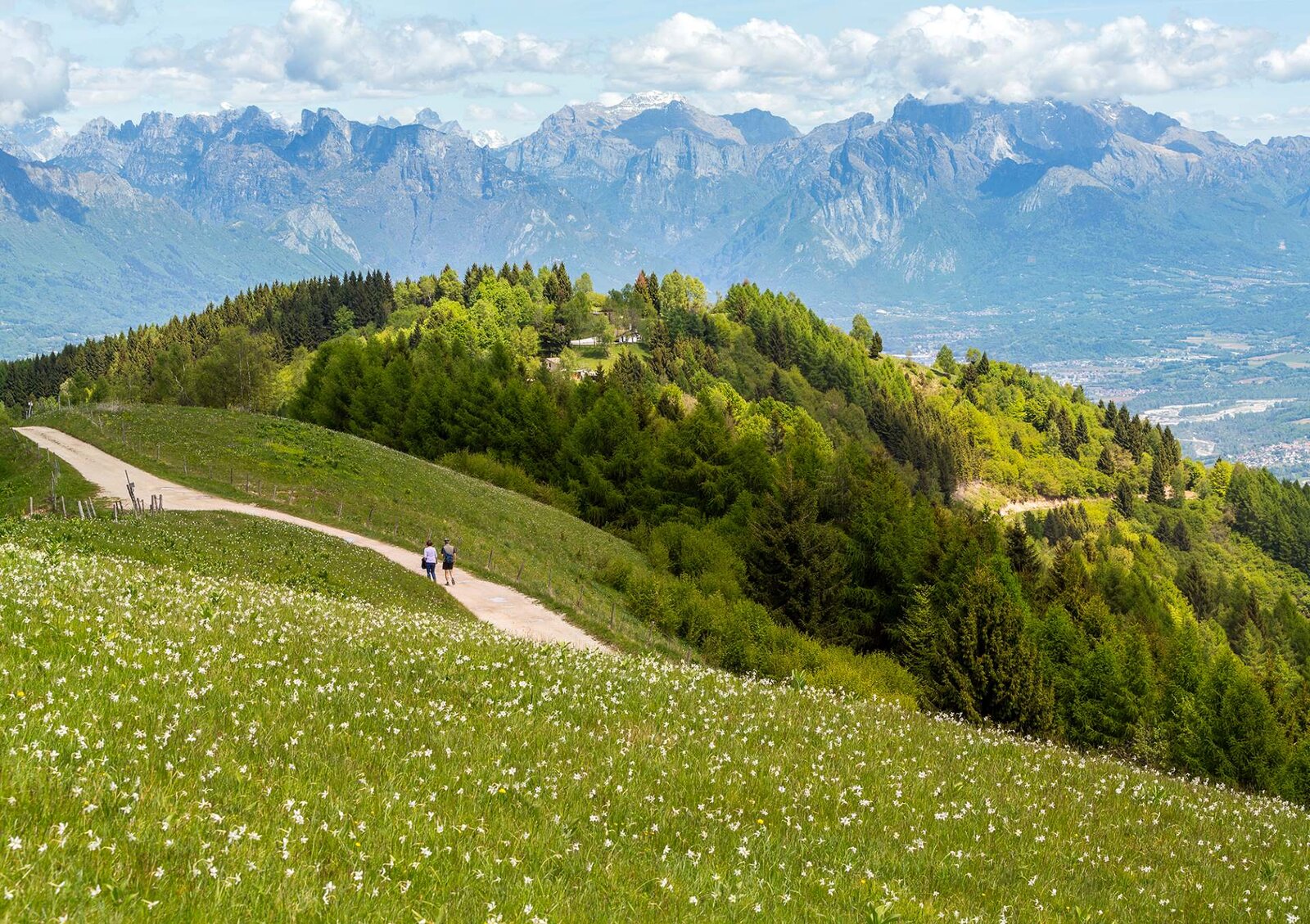 Discover Feltre and Valbelluna