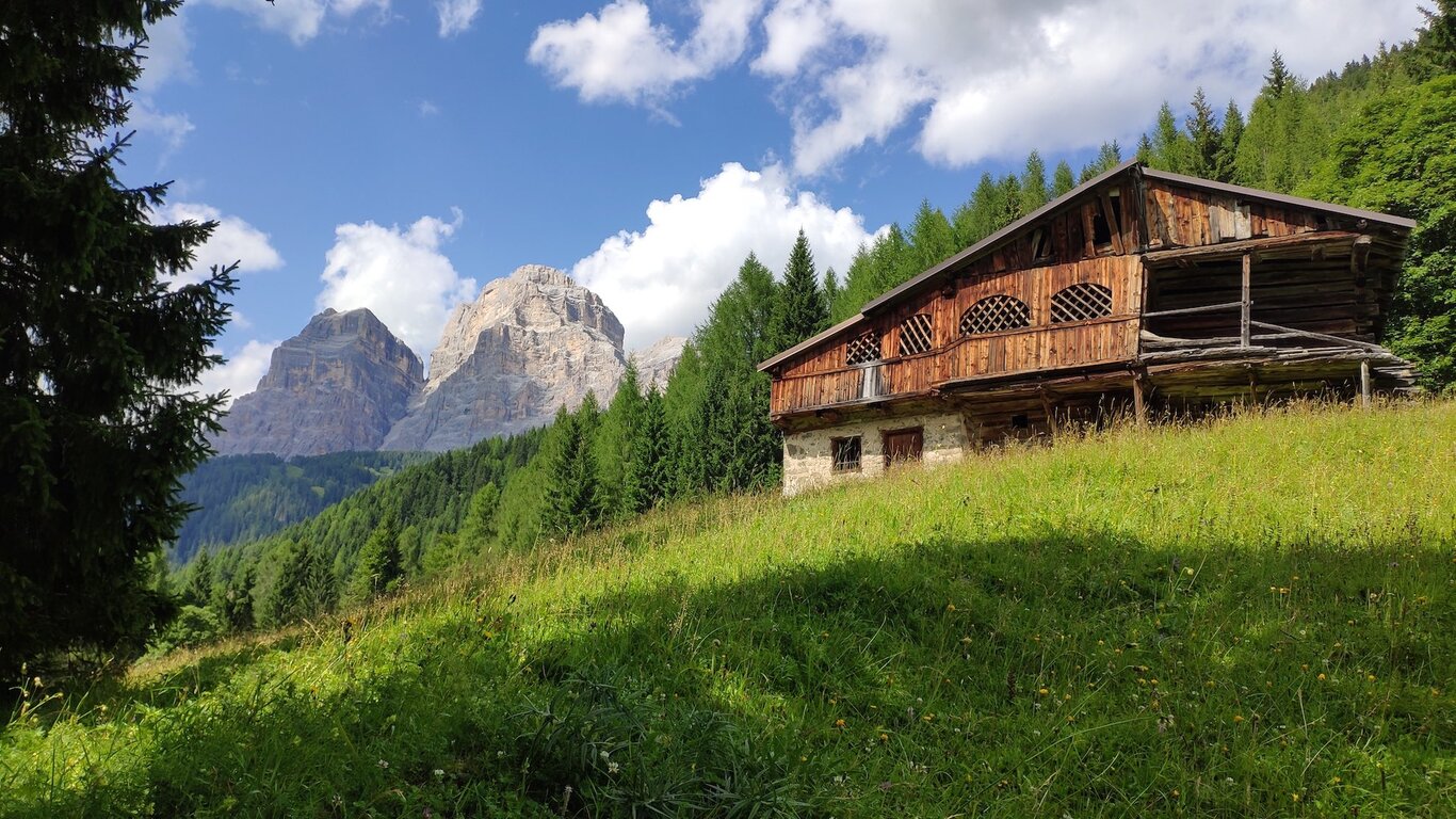 Giro dei Mas | © Archivio Dmo Dolomiti Bellunesi