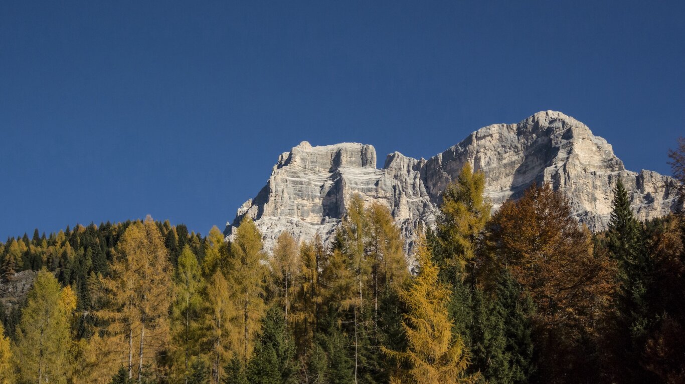 Val di Zoldo Autunno foliage | © Archivio Dmo Dolomiti Bellunesi Val di Zoldo, nel bosco secolare  | © Archivio Dmo Dolomiti Bellunesi