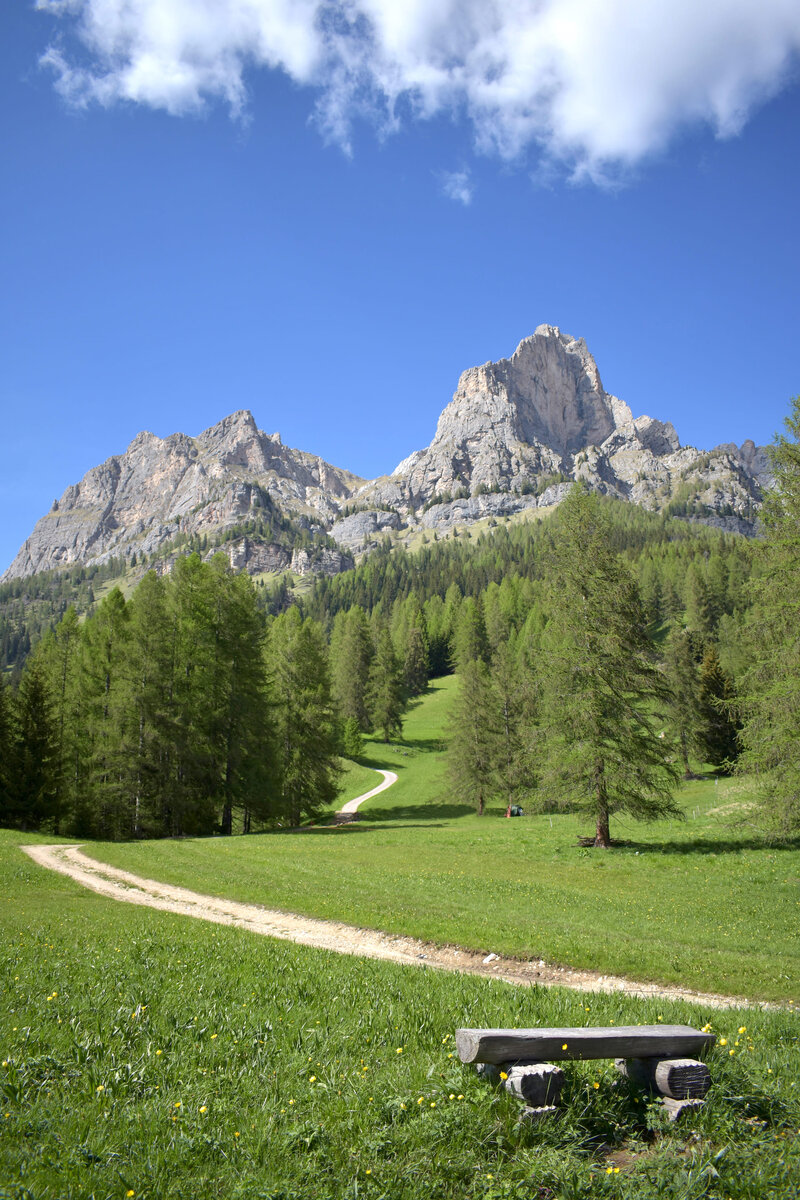 Da l’Andria a Zardin 