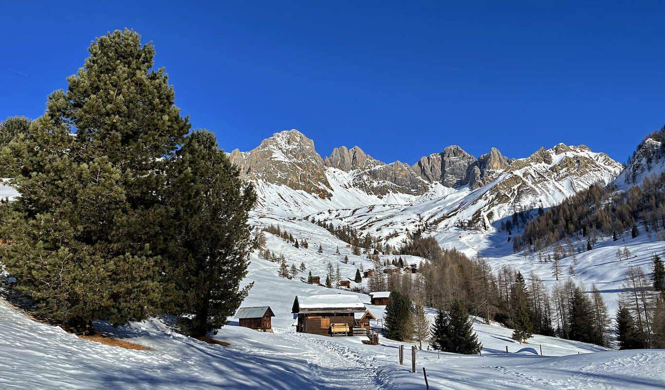 Wooden Chalets Of Valfredda