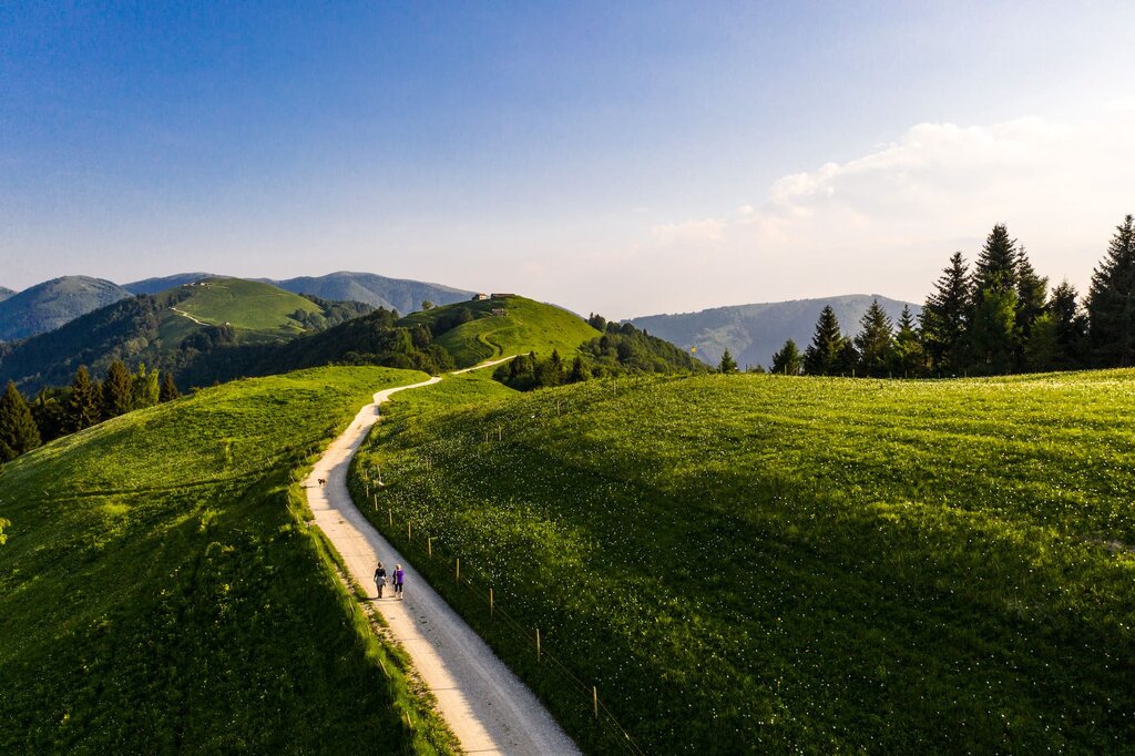 Fioritura Pian Di Coltura   Lentiai (3)