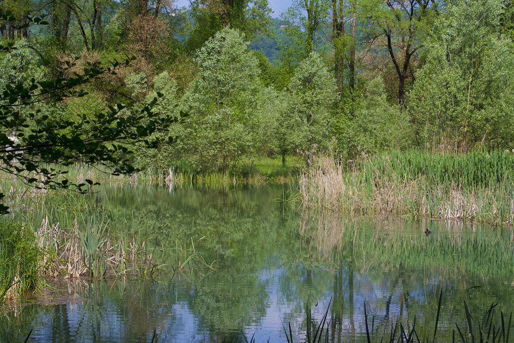Riserva Naturale Vincheto Di Celarda   Credits @visitfeltre   Reparto Carabinieri Biodiversità Di Belluno 1 | © visitfeltre - Reparto Carabinieri Biodiversità Belluno