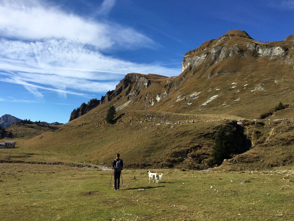 Piani Eterni Cesiomaggiore Parco Nazionale Dolomiti Bellunesi 2