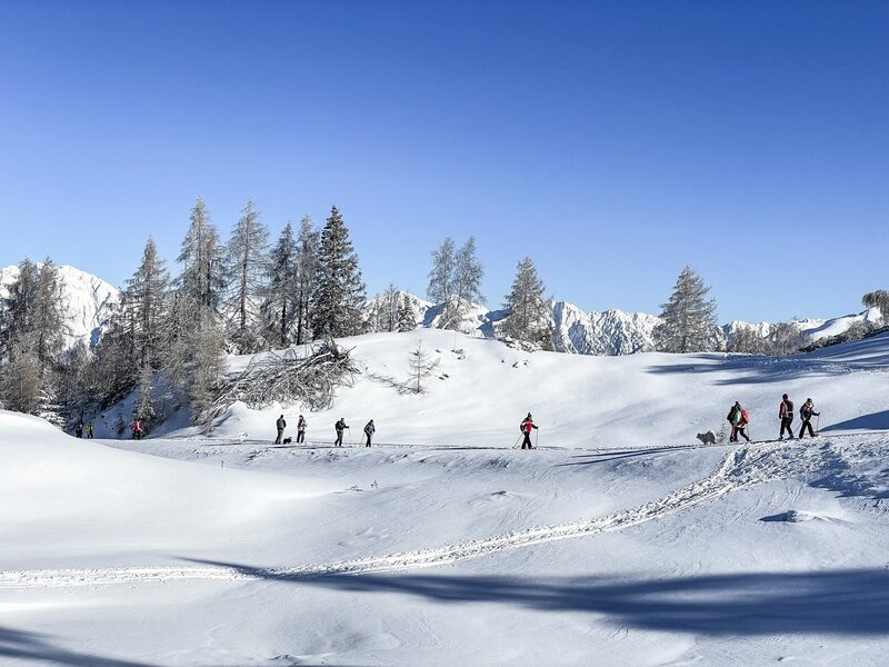 DOLOMITI BELLUNESI Ciaspole Inverno