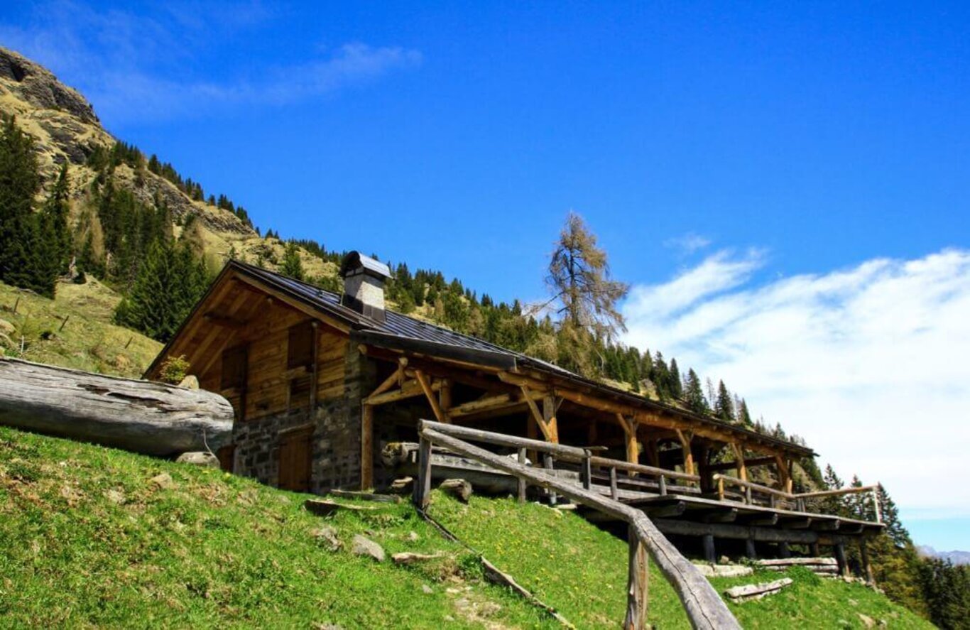 malga stia estate