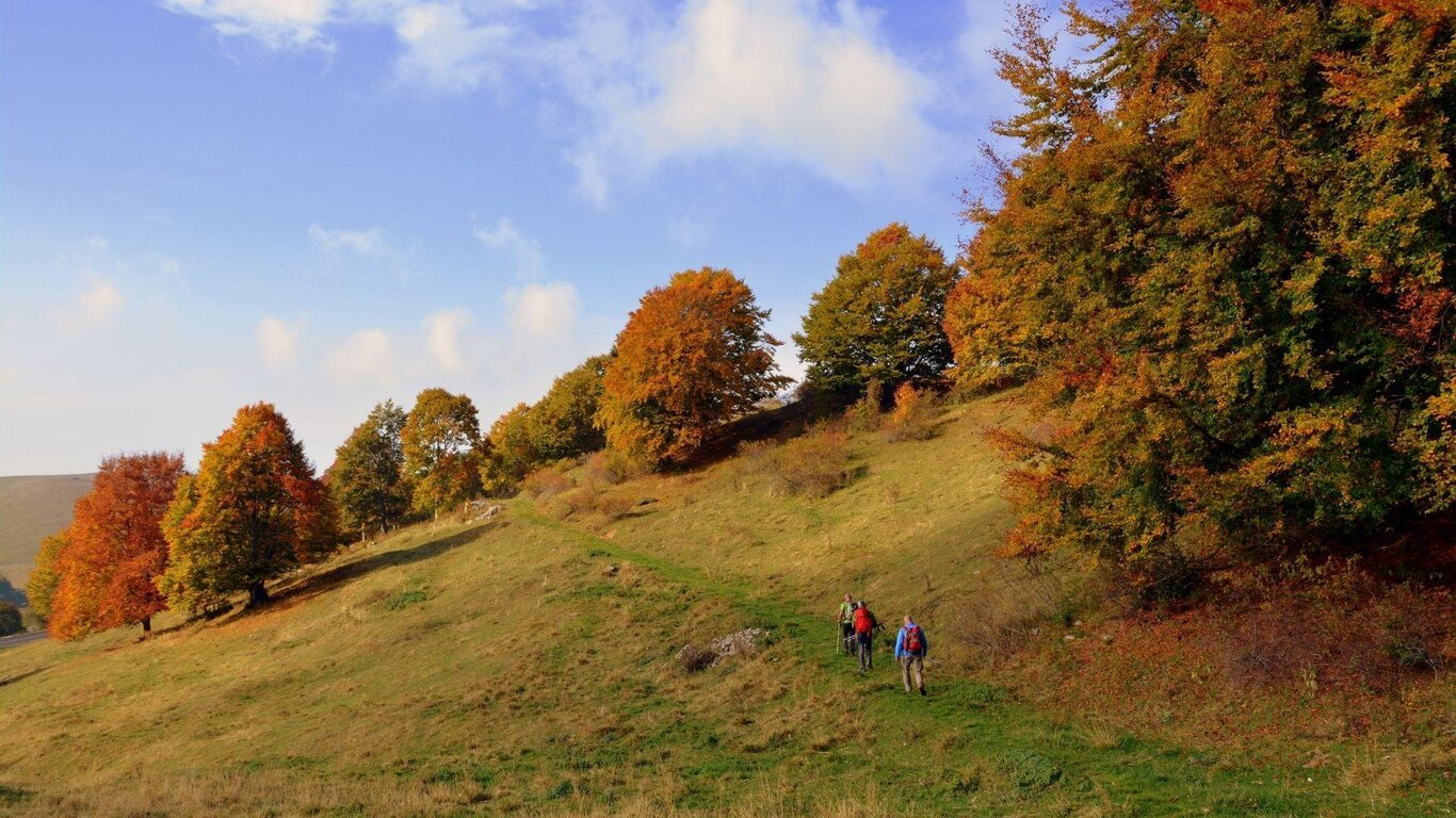 Escursione guidata