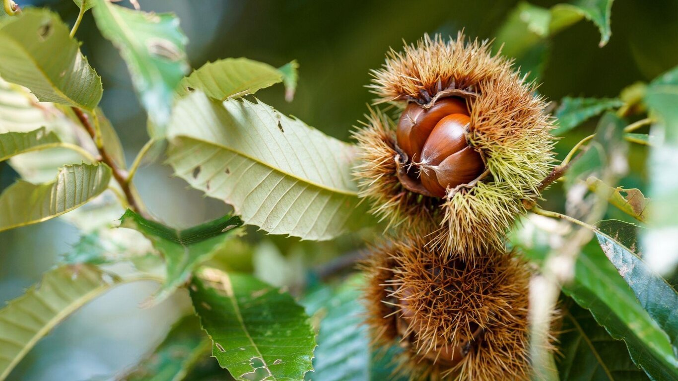Escursione guidata
