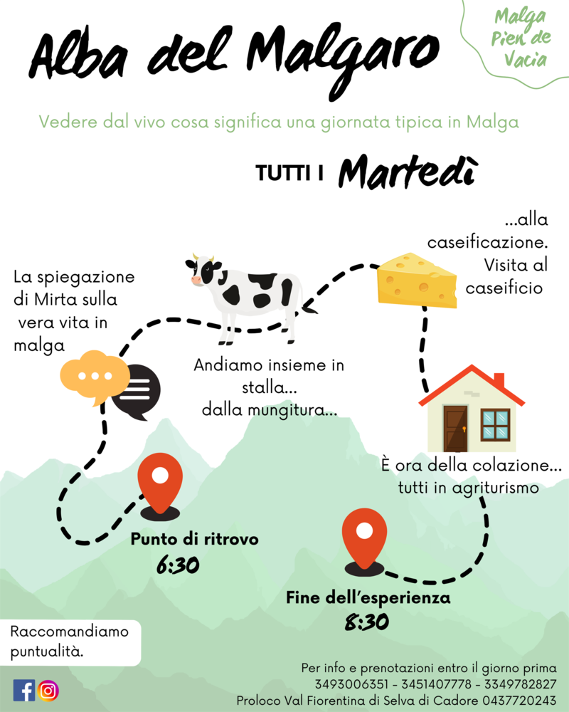 sveglia all'alba