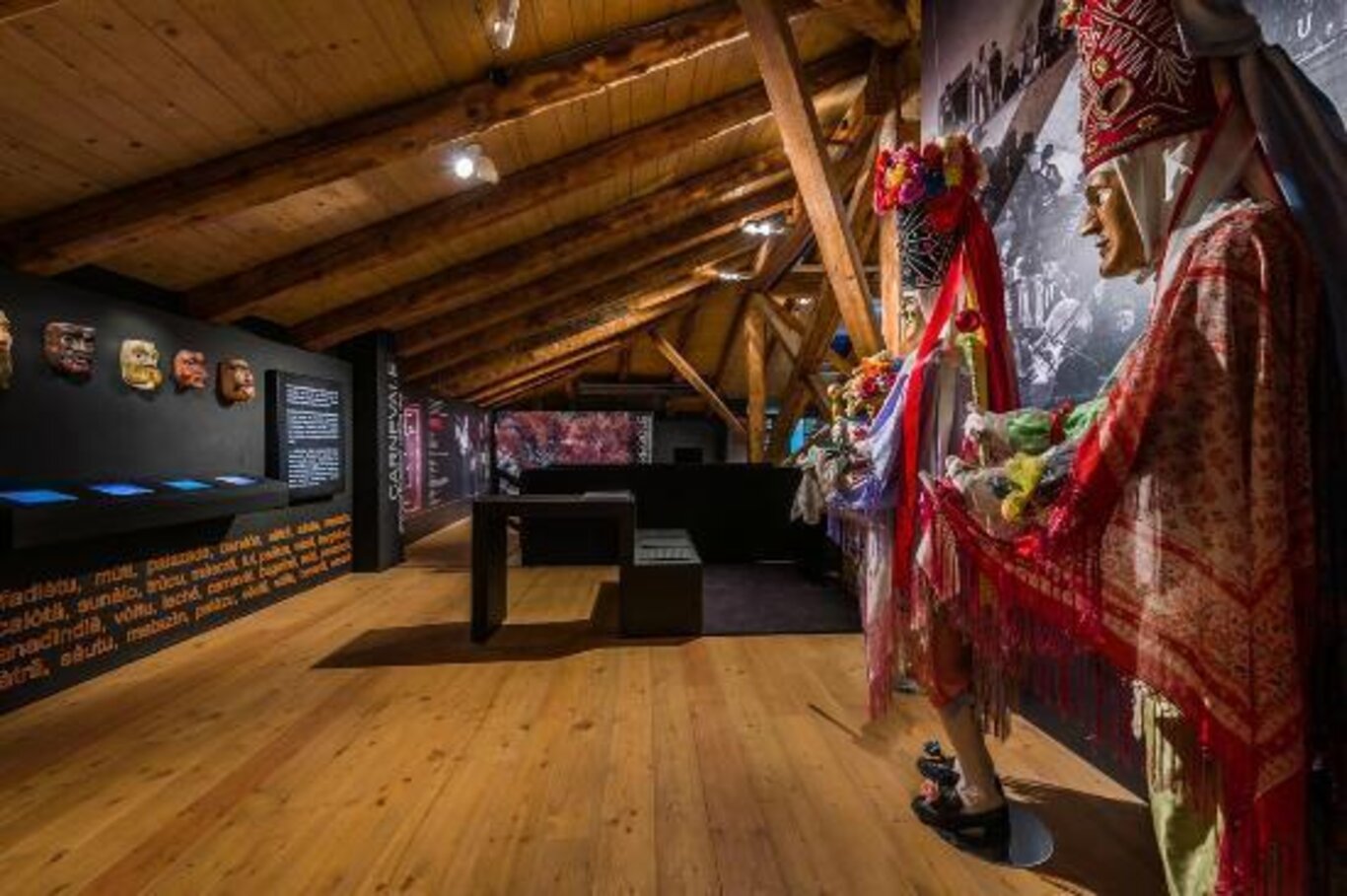 Museo Algudnei