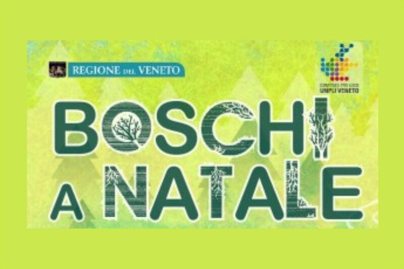 Boschi a Natale