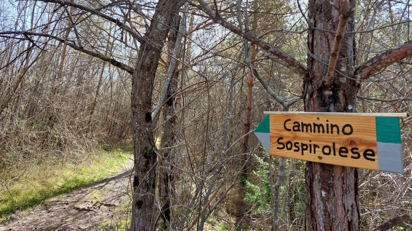 Camnmino Sospirolese