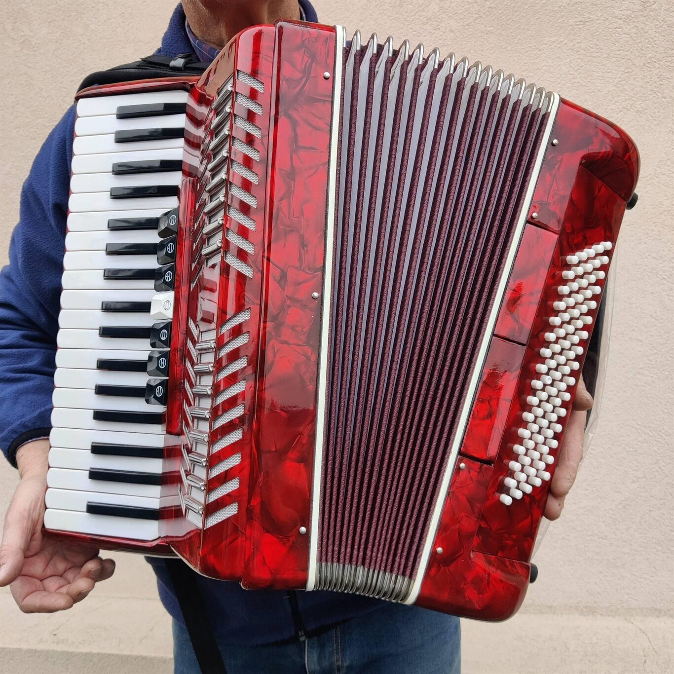 fisarmonica fisarmonica