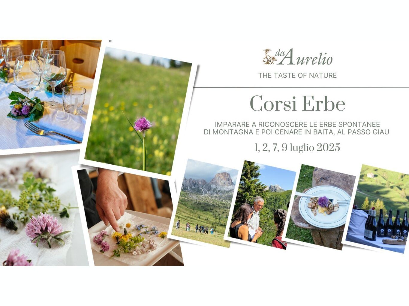 Corsi Erbe