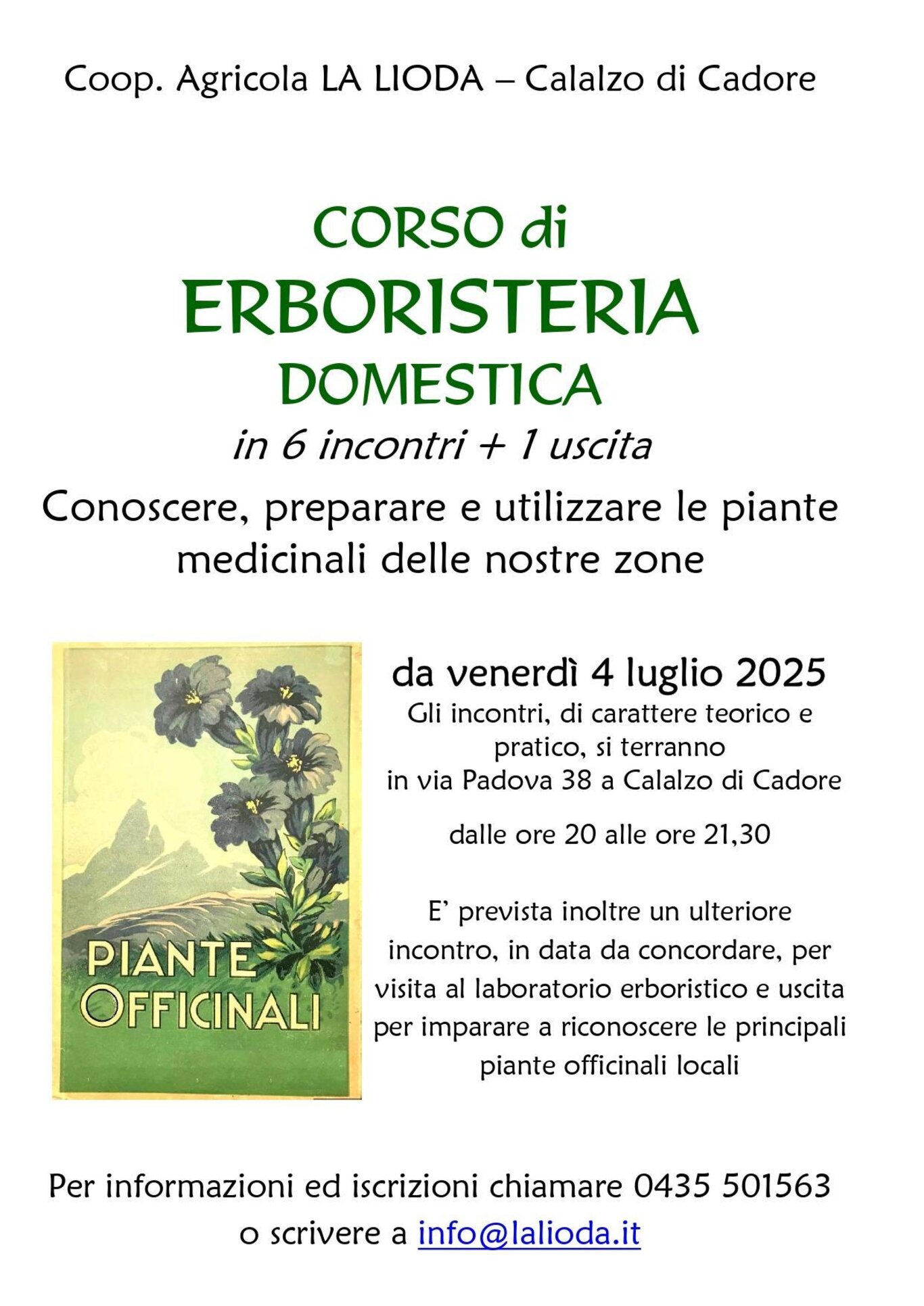 piante officinali piante officinali