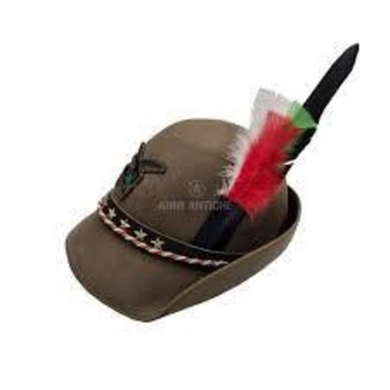 festa alpini