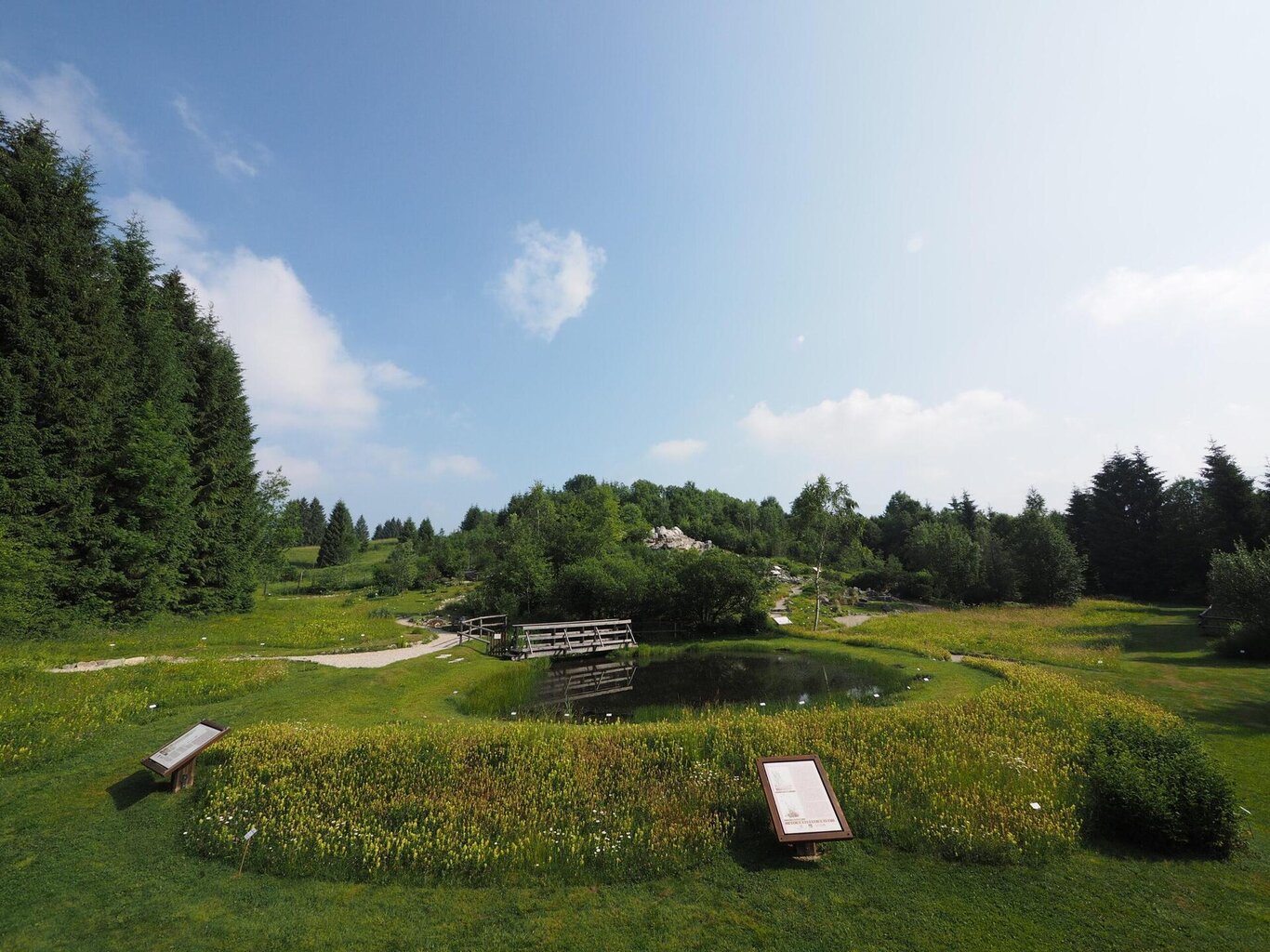 giardino