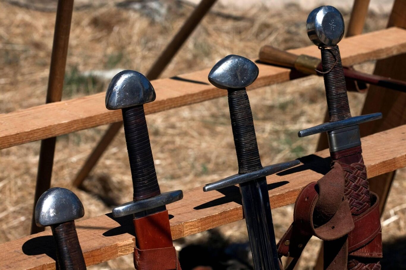 Giornata del Cavaliere