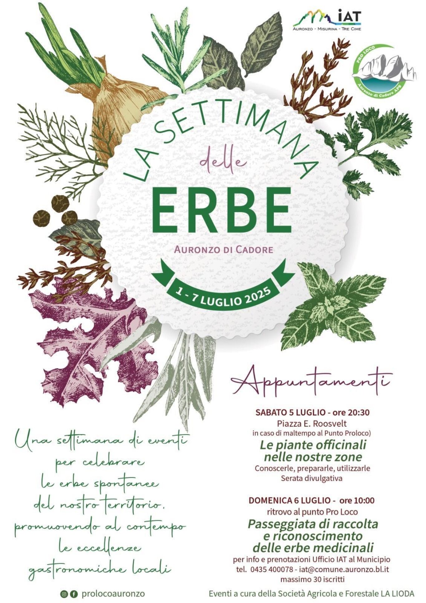 settimana delle erbe
