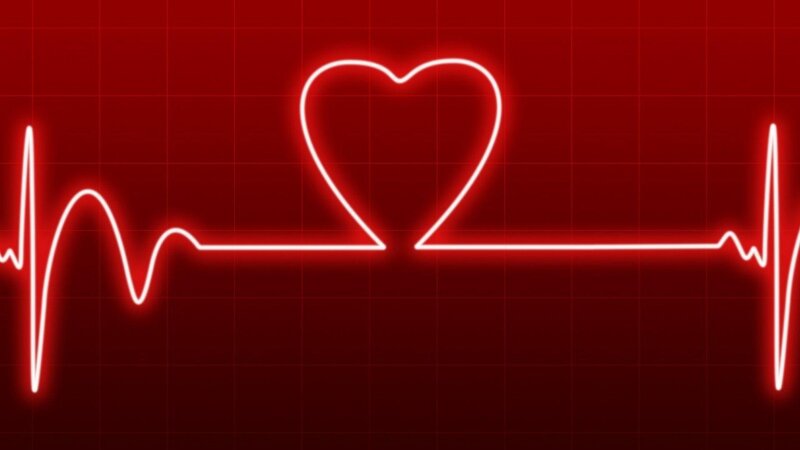 Lo spettacolo del cuore