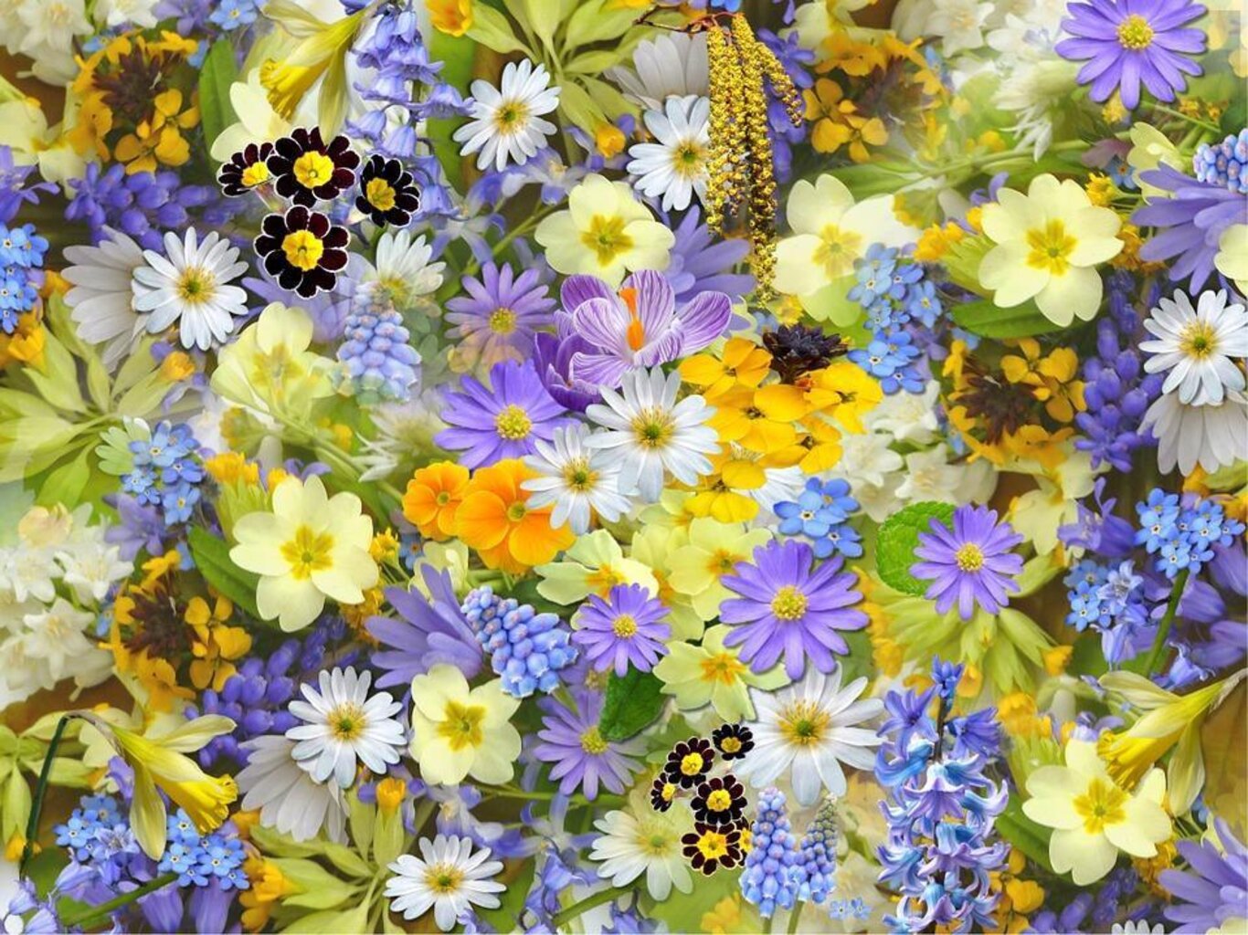 mostra mercato fiori