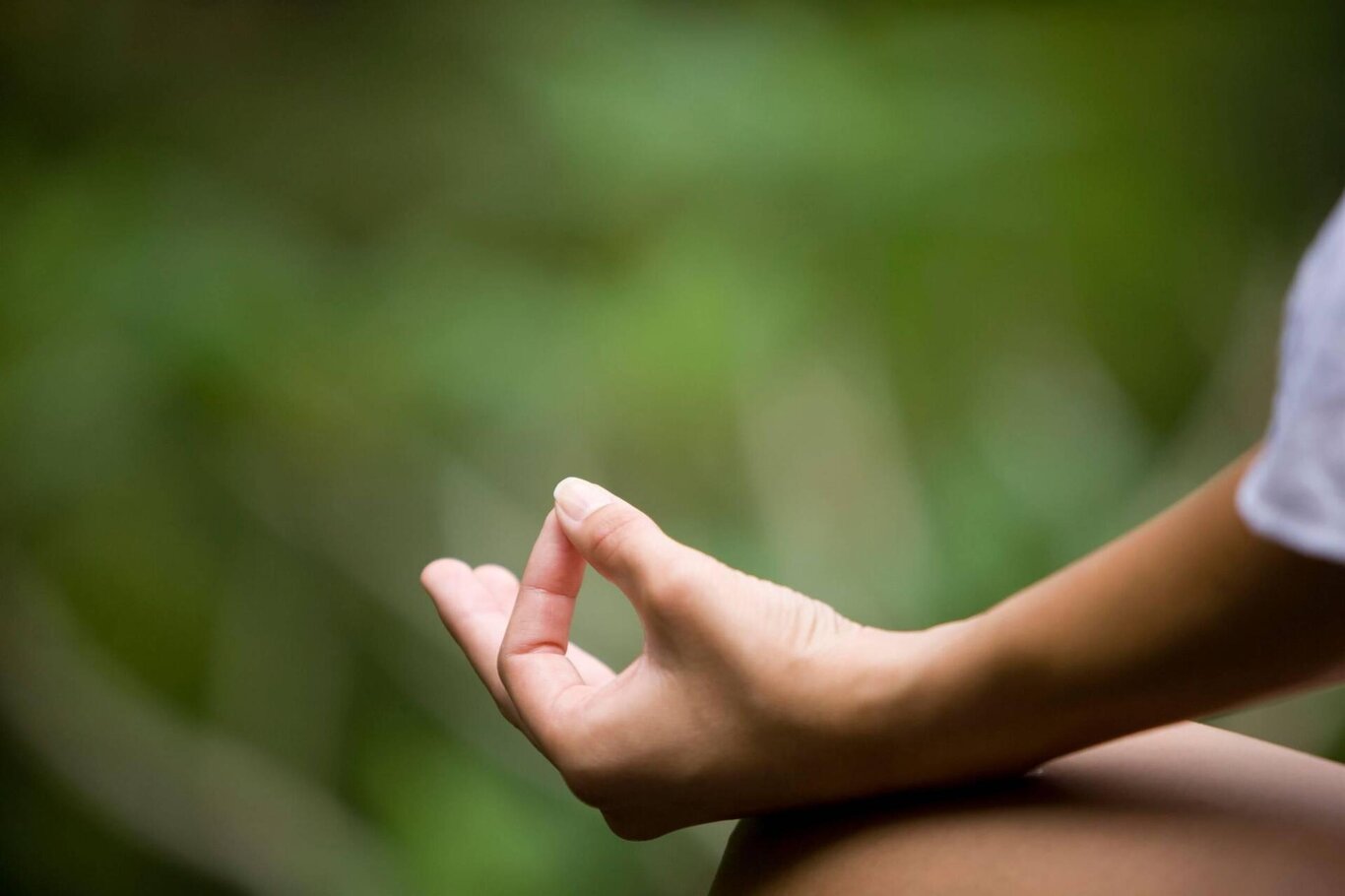 Piante officinali e yoga