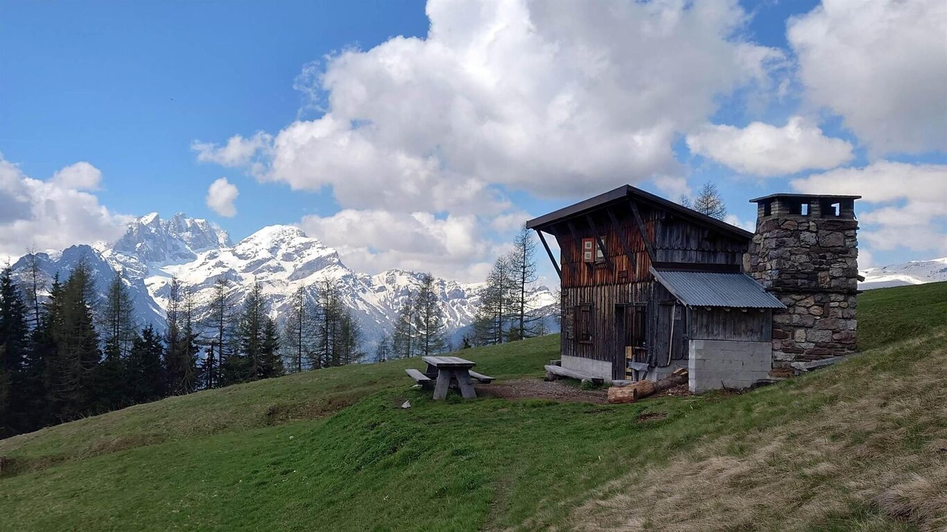 uso erbe spontanee