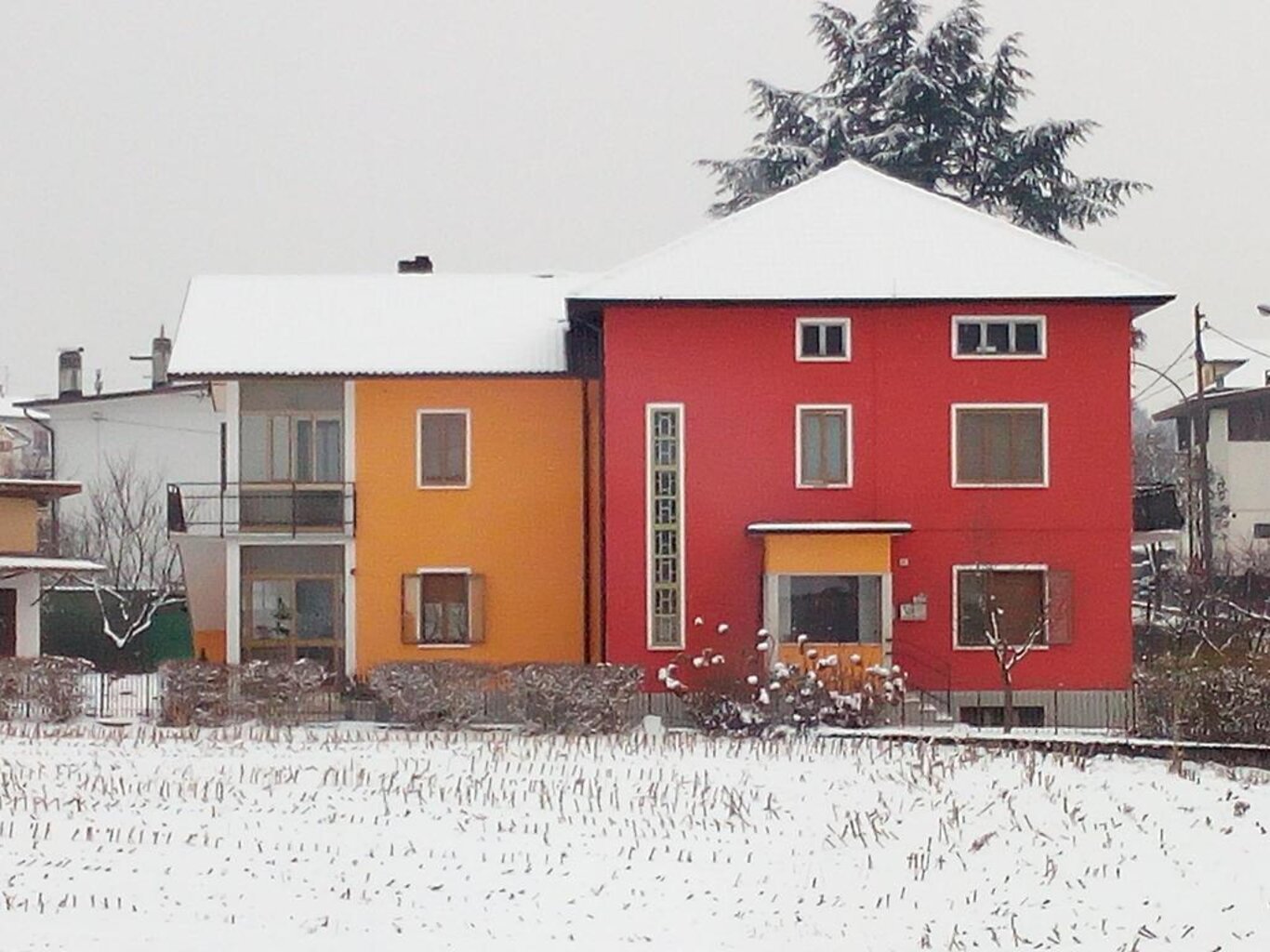 colli's colli's