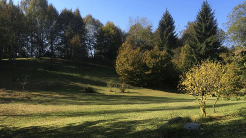 Prato esterno