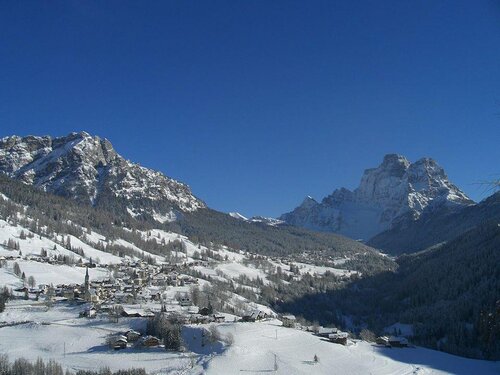 Selva inverno