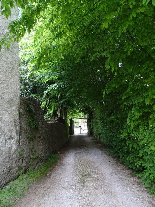 entrata nella proprietà