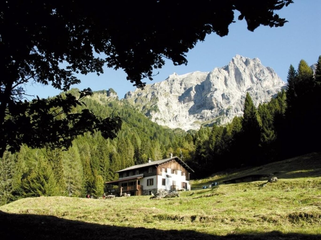 furio bianchet (1) furio bianchet (1)
