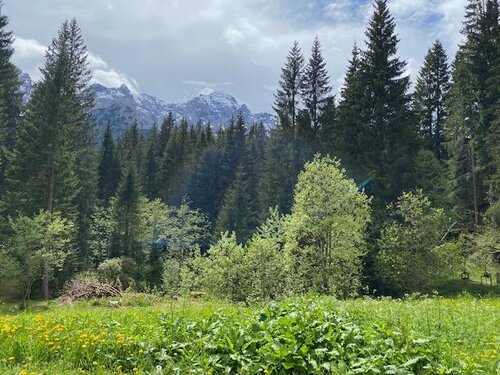 vista