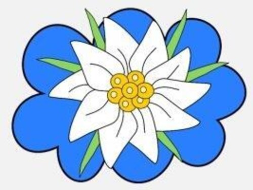 stella-alpina stella-alpina