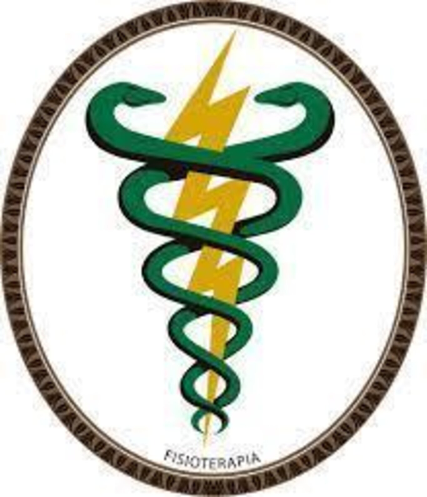 fisio fisio