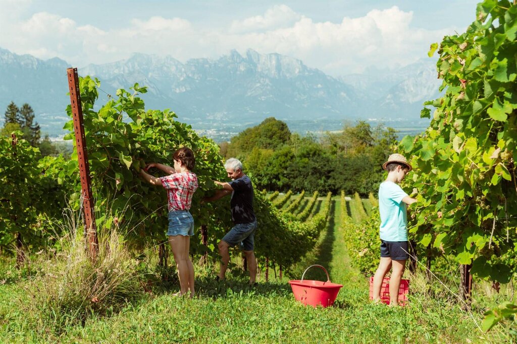 Azienda