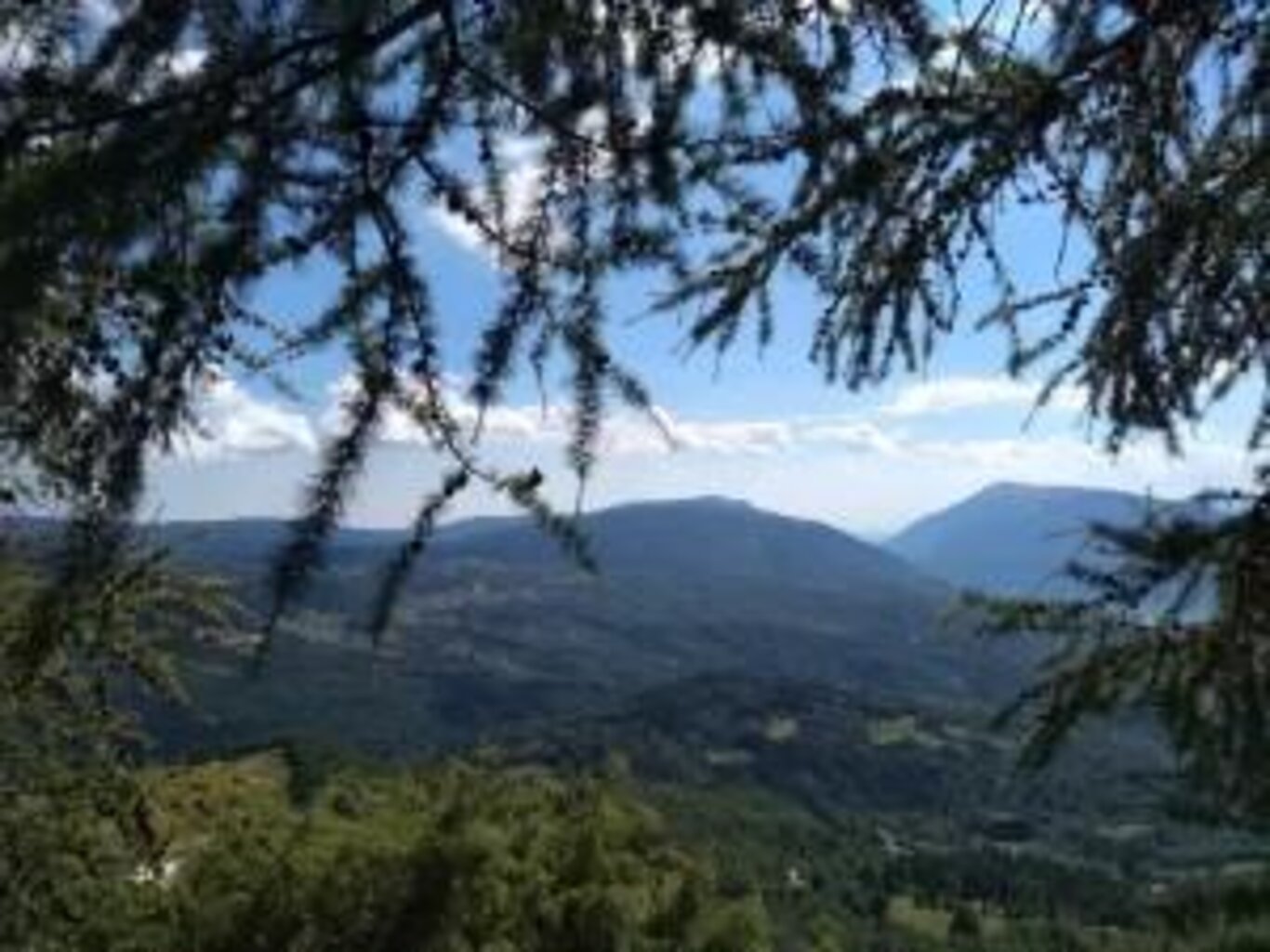 Alpago Alto