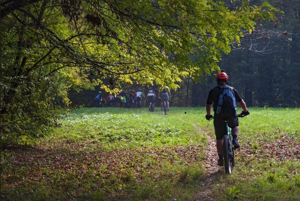 Mtb